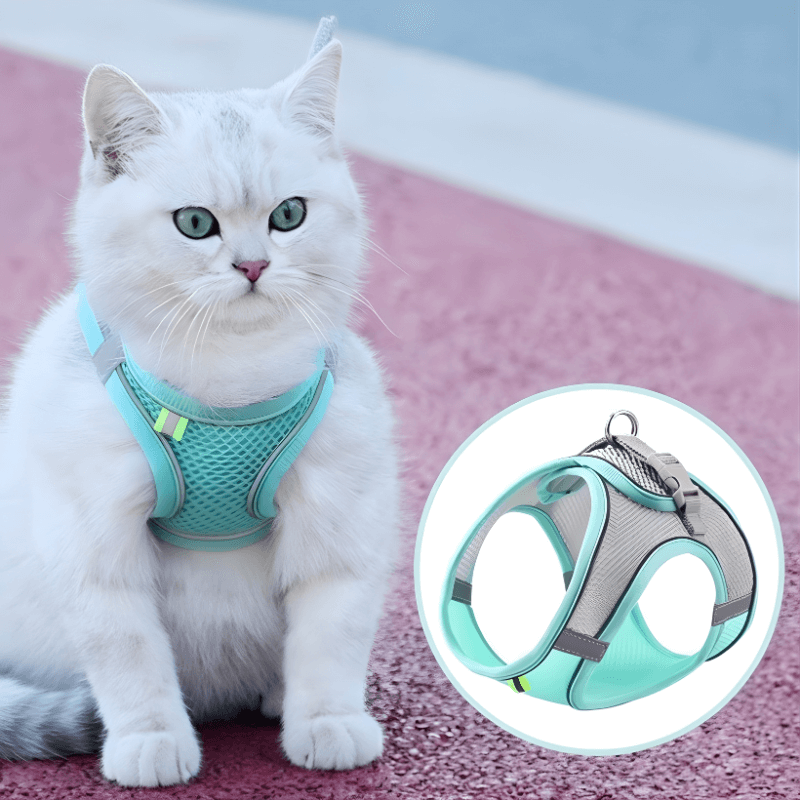 Adjustable Mesh Cat Harness with Matching Reflective Leash Set