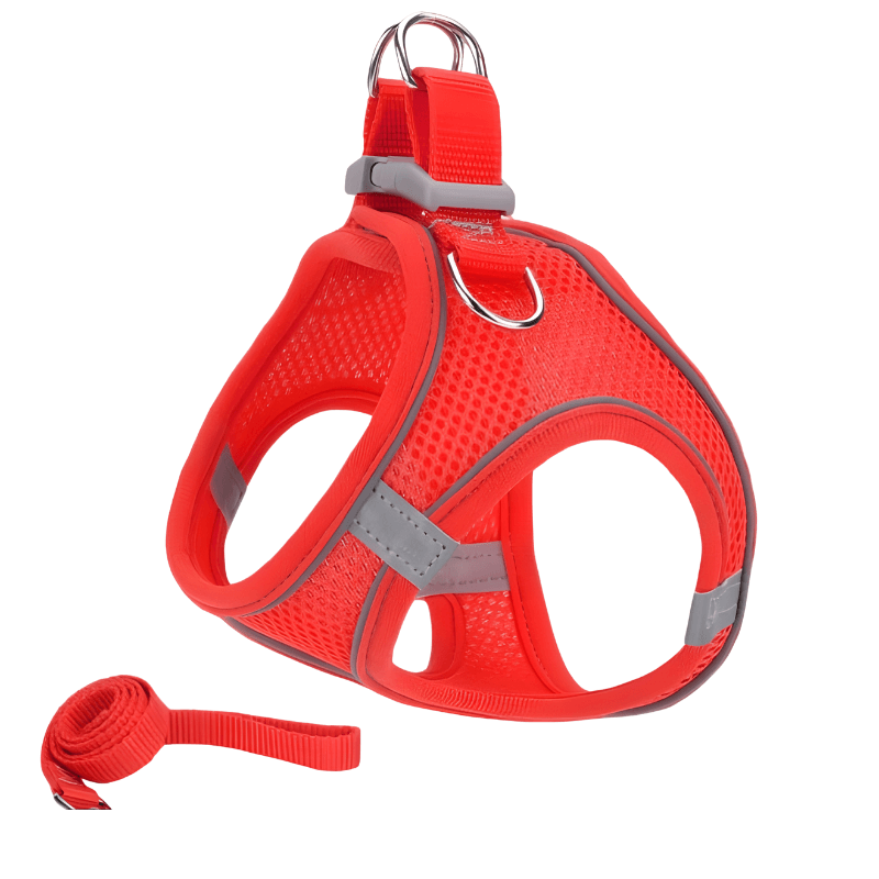 Adjustable Mesh Cat Harness with Matching Reflective Leash Set