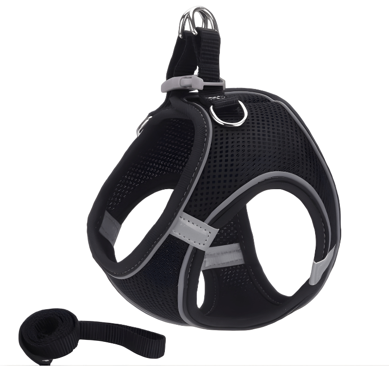 Adjustable Mesh Cat Harness with Matching Reflective Leash Set