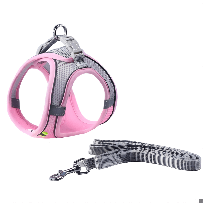 Adjustable Mesh Cat Harness with Matching Reflective Leash Set