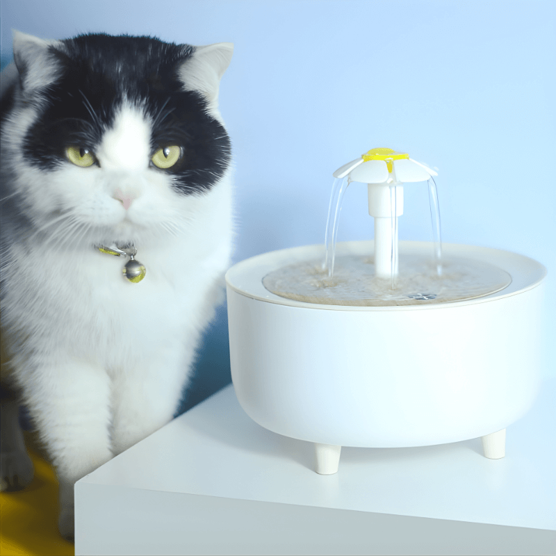 Automatic Pet Water Fountain with Filter – 1.2L USB-Powered Dispenser