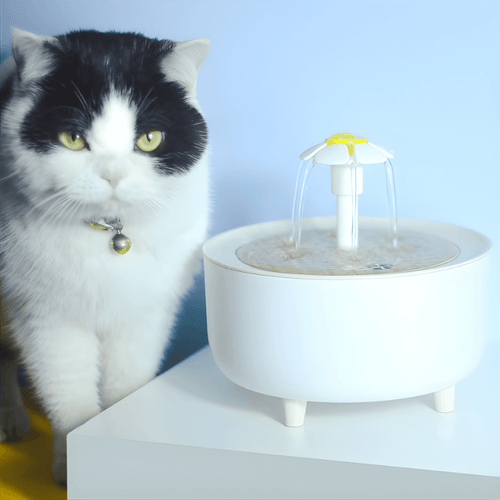 Automatic Pet Water Fountain with Filter – 1.2L USB-Powered Dispenser