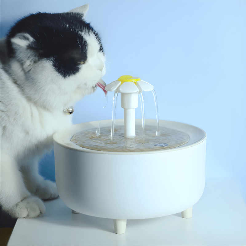Automatic Pet Water Fountain with Filter – 1.2L USB-Powered Dispenser