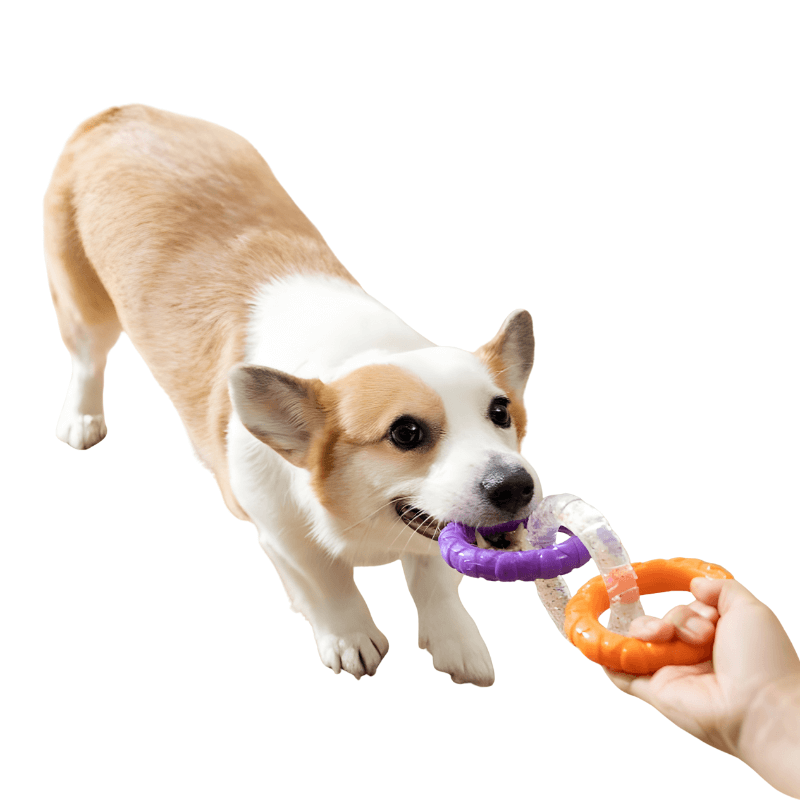 Durable 3-Ring Tug Toy for Dogs – Floating Fetch & Chew Toy with Textured Grip