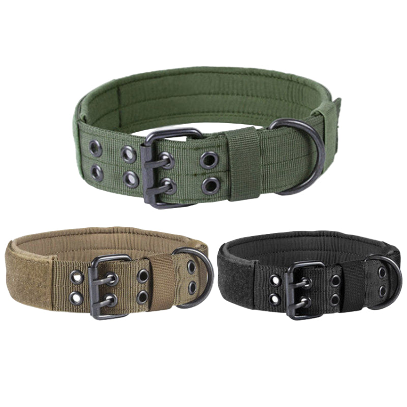 Padded Dog Collar for Dogs with Metal Buckle