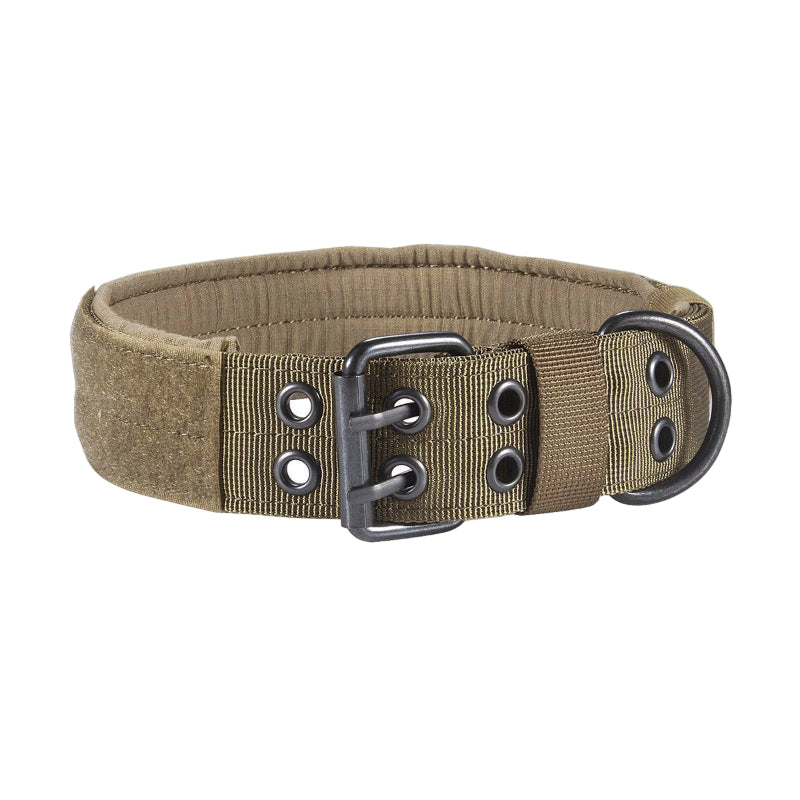 Padded Dog Collar for Dogs with Metal Buckle