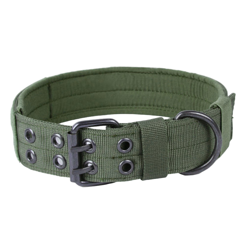 Padded Dog Collar for Dogs with Metal Buckle