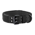 Padded Dog Collar for Dogs with Metal Buckle