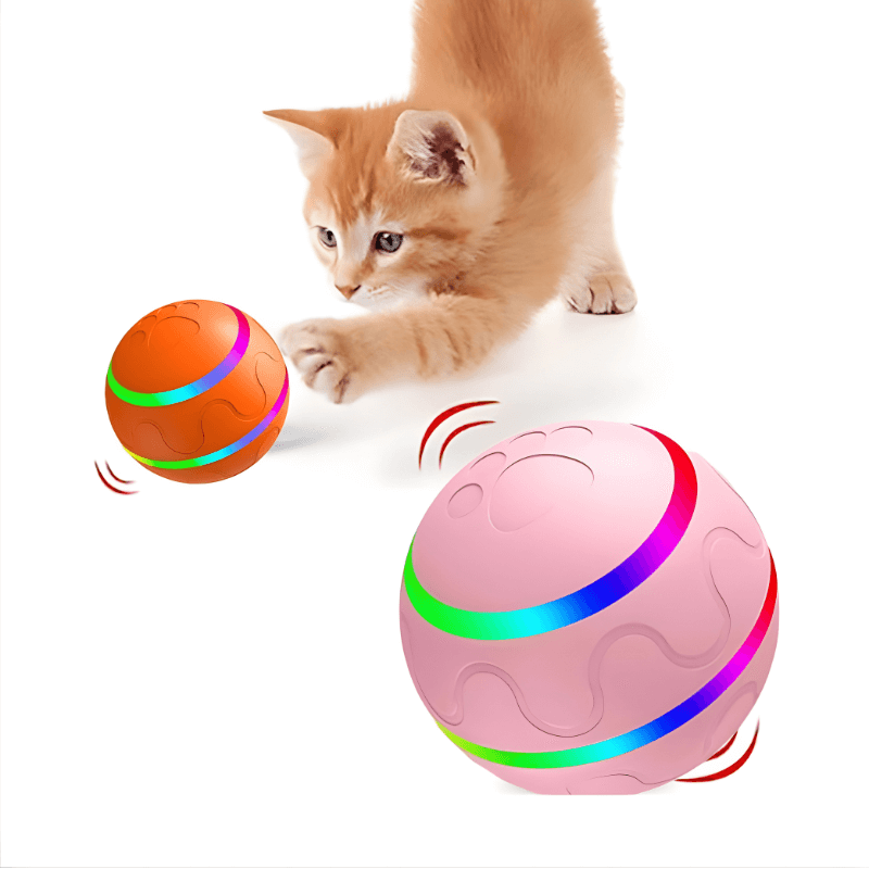 Remote-Controlled Interactive Ball for Pet Enrichment