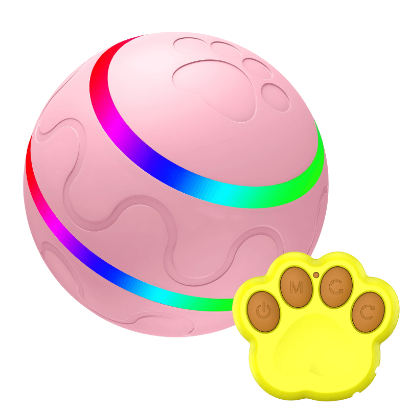 Remote-Controlled Interactive Ball for Pet Enrichment